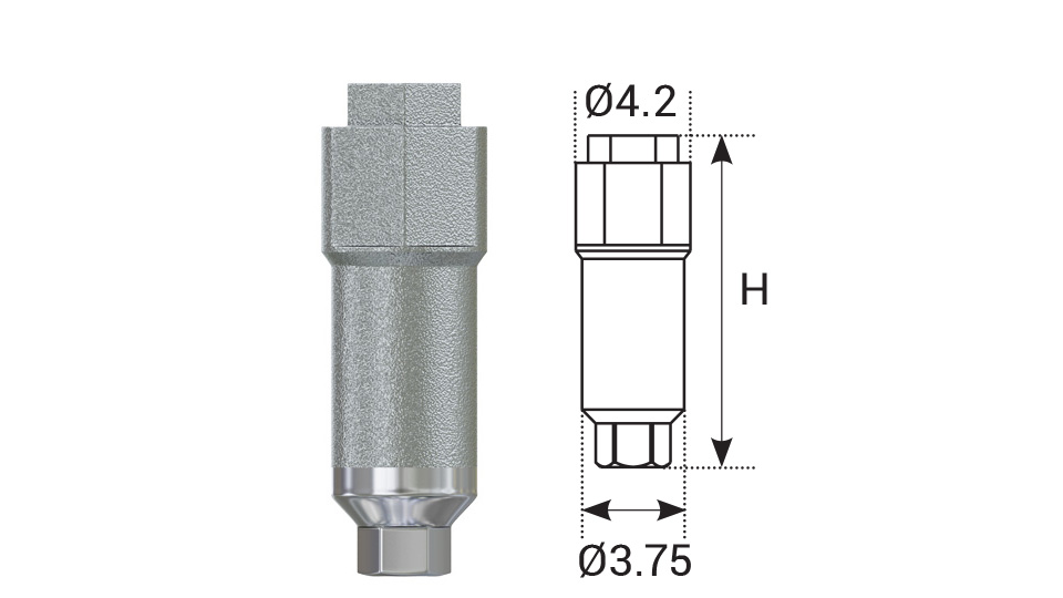 DSI CAD/CAM Internal Hex | Discover Dental Products & Solutions