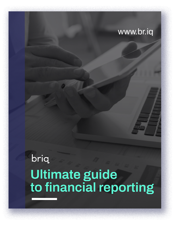 The ultimate guide to financial reporting Download Briq