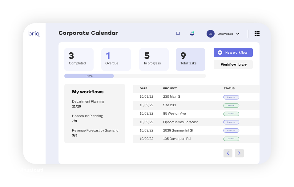 Corporate Planning & Forecasting Briq