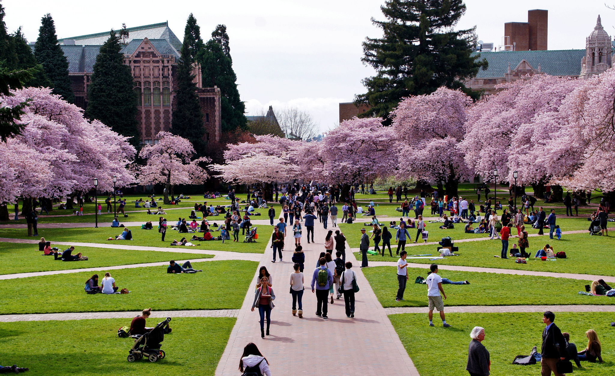 How to Write an Outstanding University of Washington Essays | Guide & Examples, 2022-2023