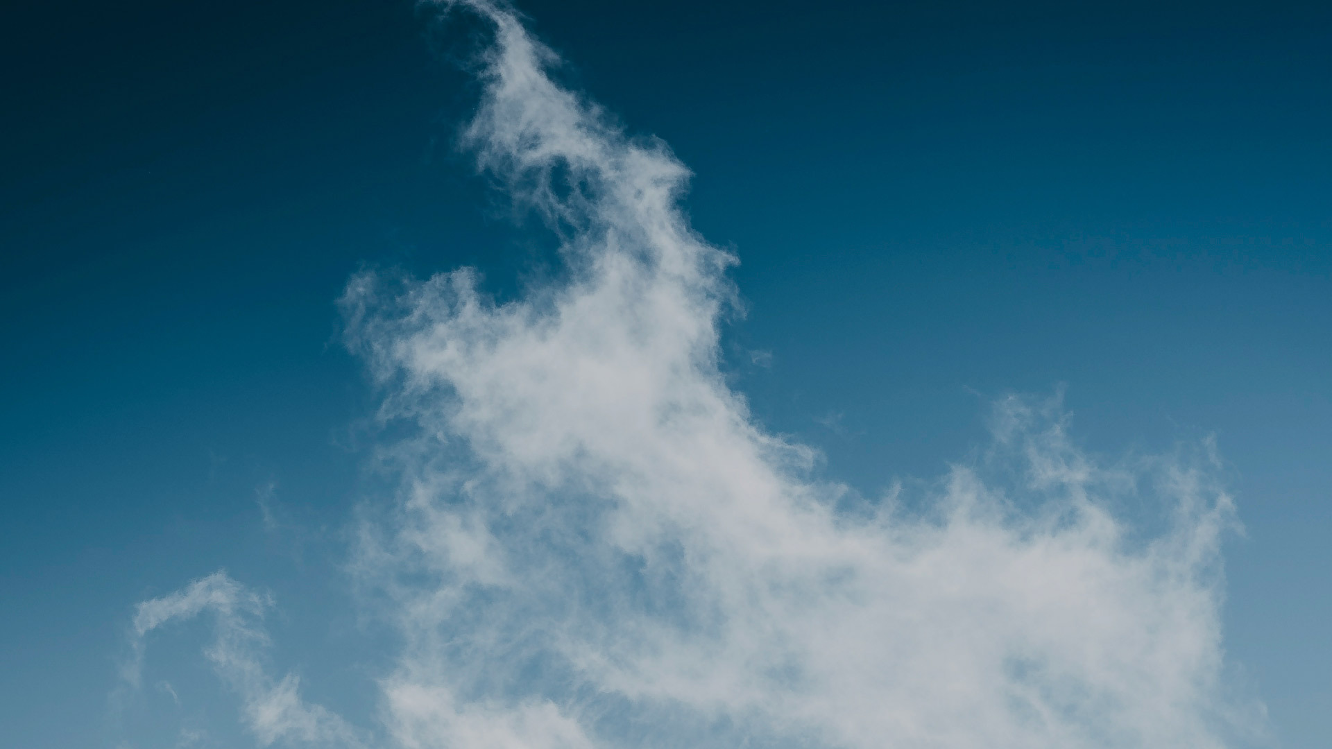 How carbon management can drive ROI for banks 