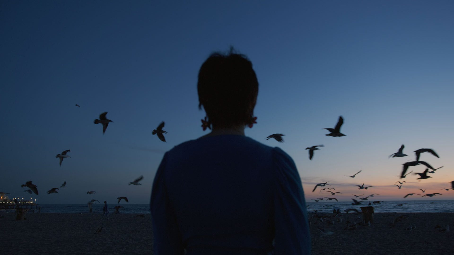 How to accurately measure your business’ carbon footprint Cogo