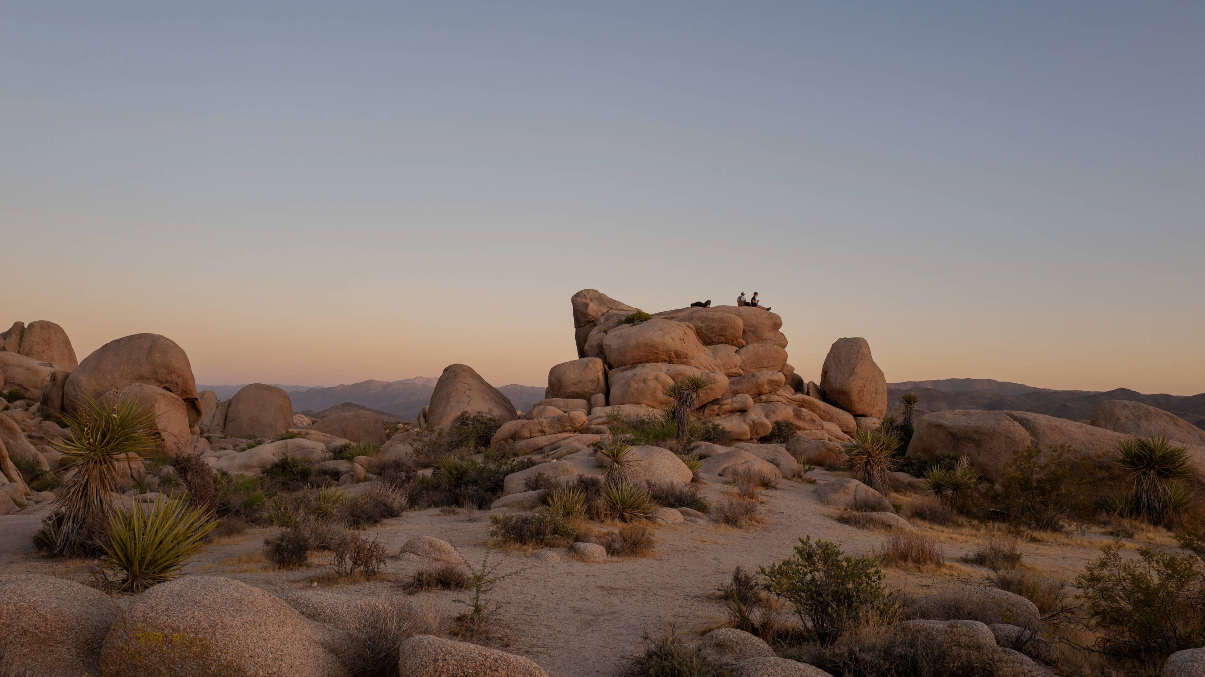 Xero's Rachel Powell Quote