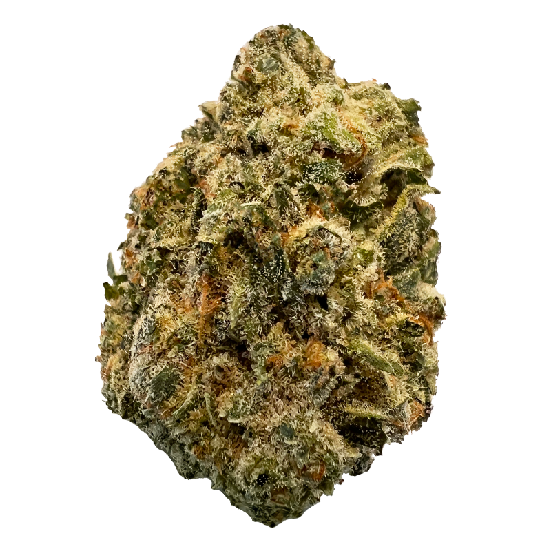 Versus Cannabis BC Purple Kush Whole Flower