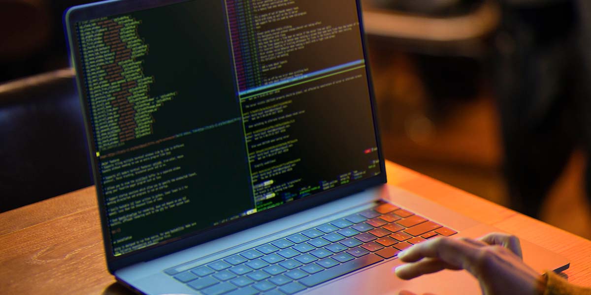 Top Programming Languages in Demand for 2024 | Northbridge