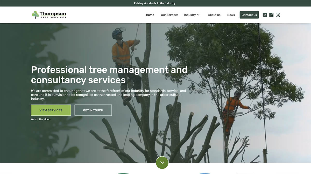 Thompson Tree Services Professional Tree Management and Consultancy