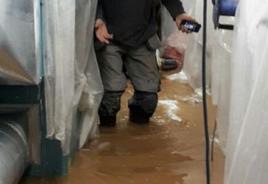 Why is my Basement Cellar Flooding?