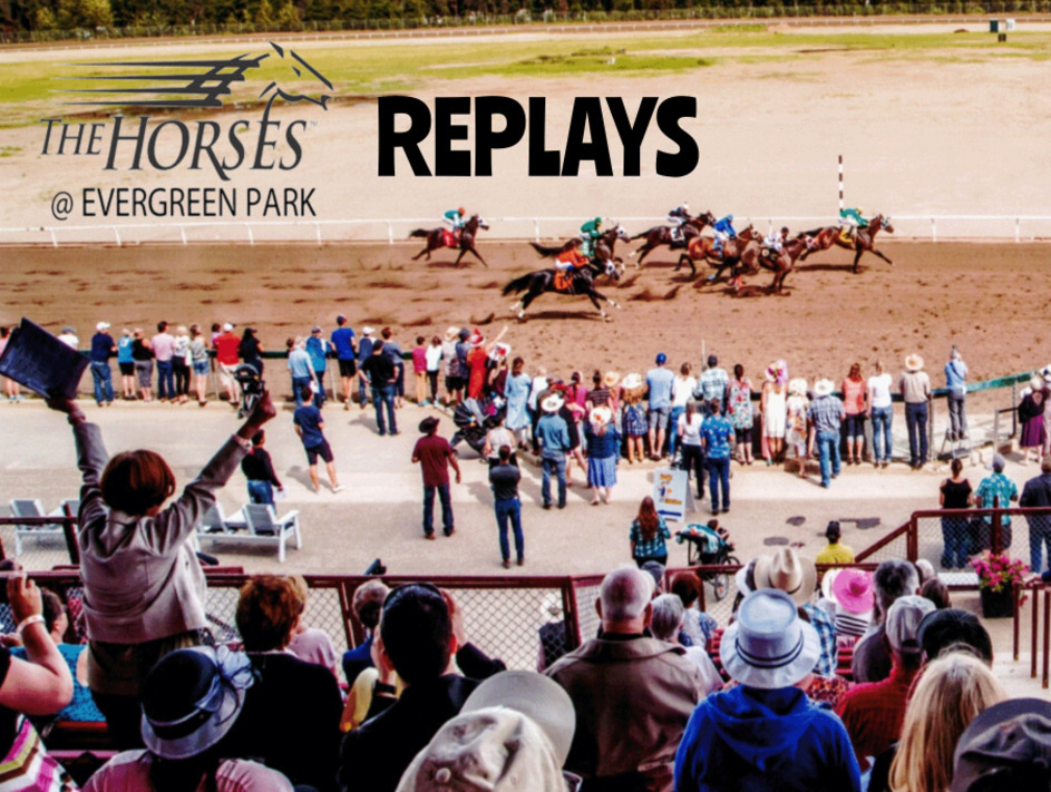 Live Races and Race Replays | Wild Horse Casino & Lounge