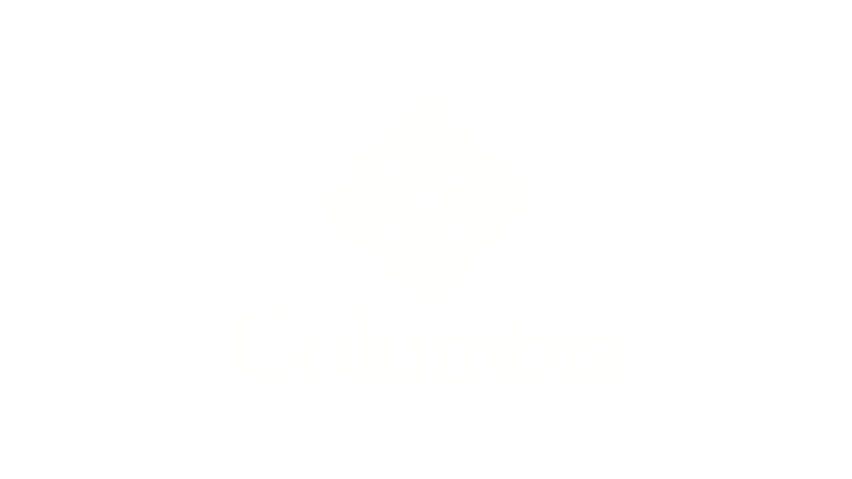 Logo of Brand the Trainer follows