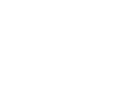 Trainer Logo