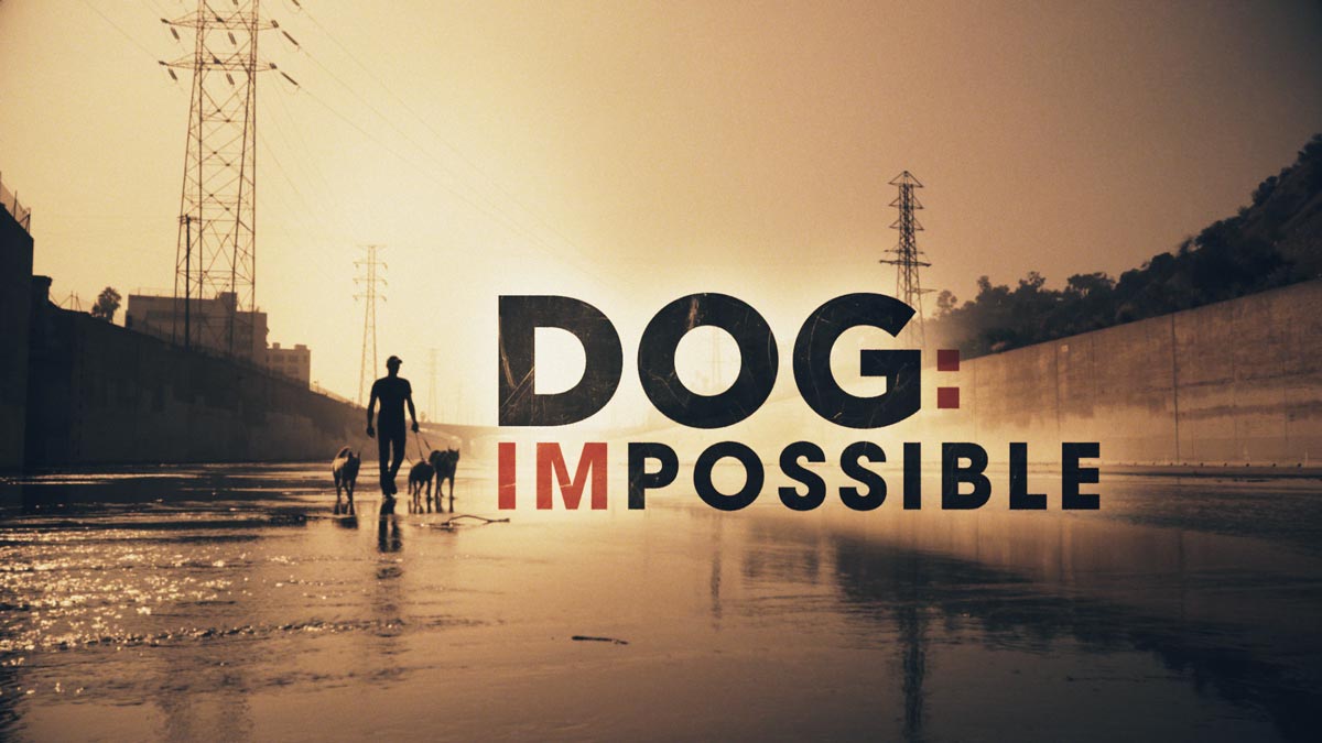 Dog Impossible