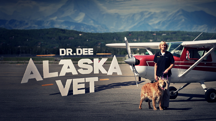 Dr Dee Alaska Vet