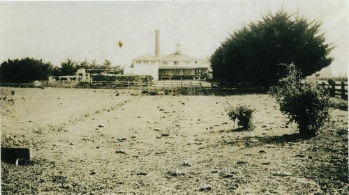 old butter milk factory amarti