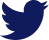Twitter Icon