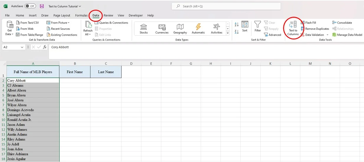 Excel Text to Columns (With Example) | Career Principles