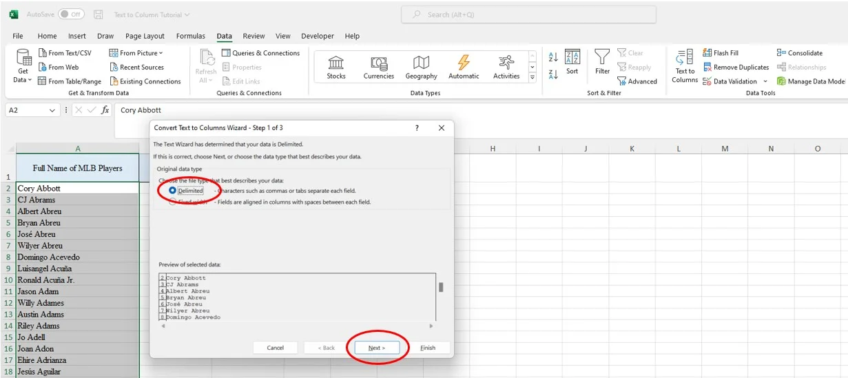 Excel Text to Columns (With Example) | Career Principles
