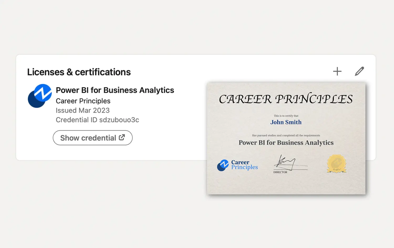 Power BI for Business Analytics | Career Principles