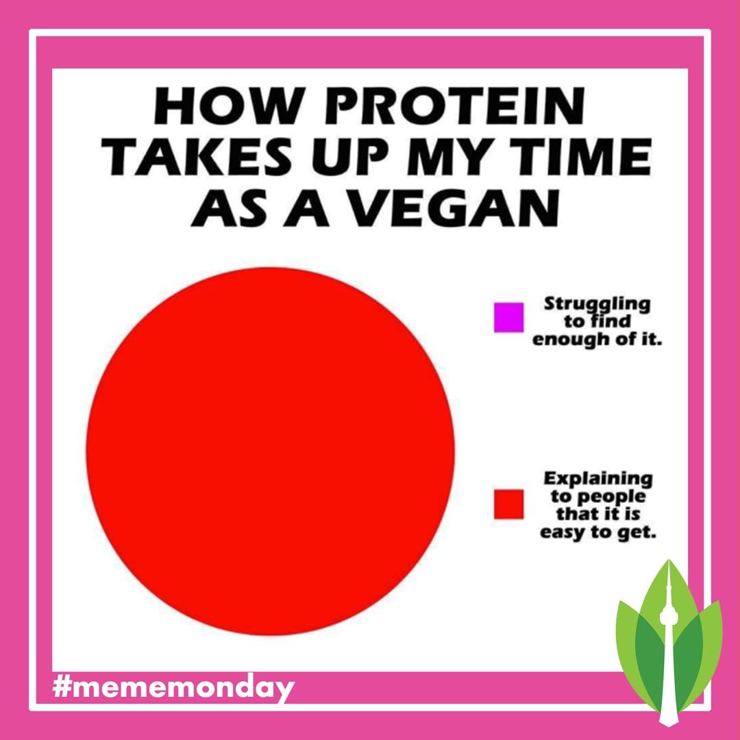Ironic pie graph about protein "how protein takes up my time as a vegan: 0%=struggling to find enough of it, 100%=explaining to people how easy it is to get"