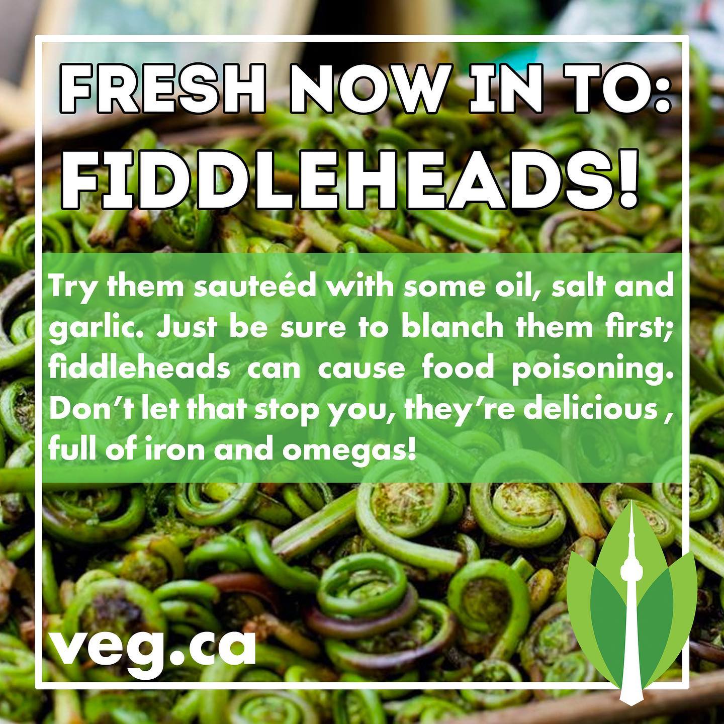 Looking for something to make this weekend? Fiddleheads are in season, and it is a very brief season! Get some at a farmers market this weekend and cook them up. How do you like to cook them? We like it simple. Oil, salt, garlic; lets you taste the fiddlehead!