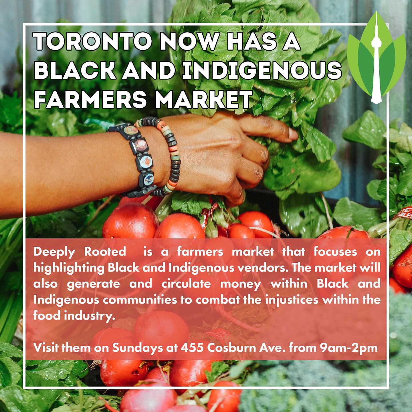 Deeply Rooted is a new farmers market in the GTA for Black and Indigenous vendors. It’s first day was this past Sunday and it will run Sundays at 455 Cosburn from 9-2 throughout the summer. Have you visited yet?