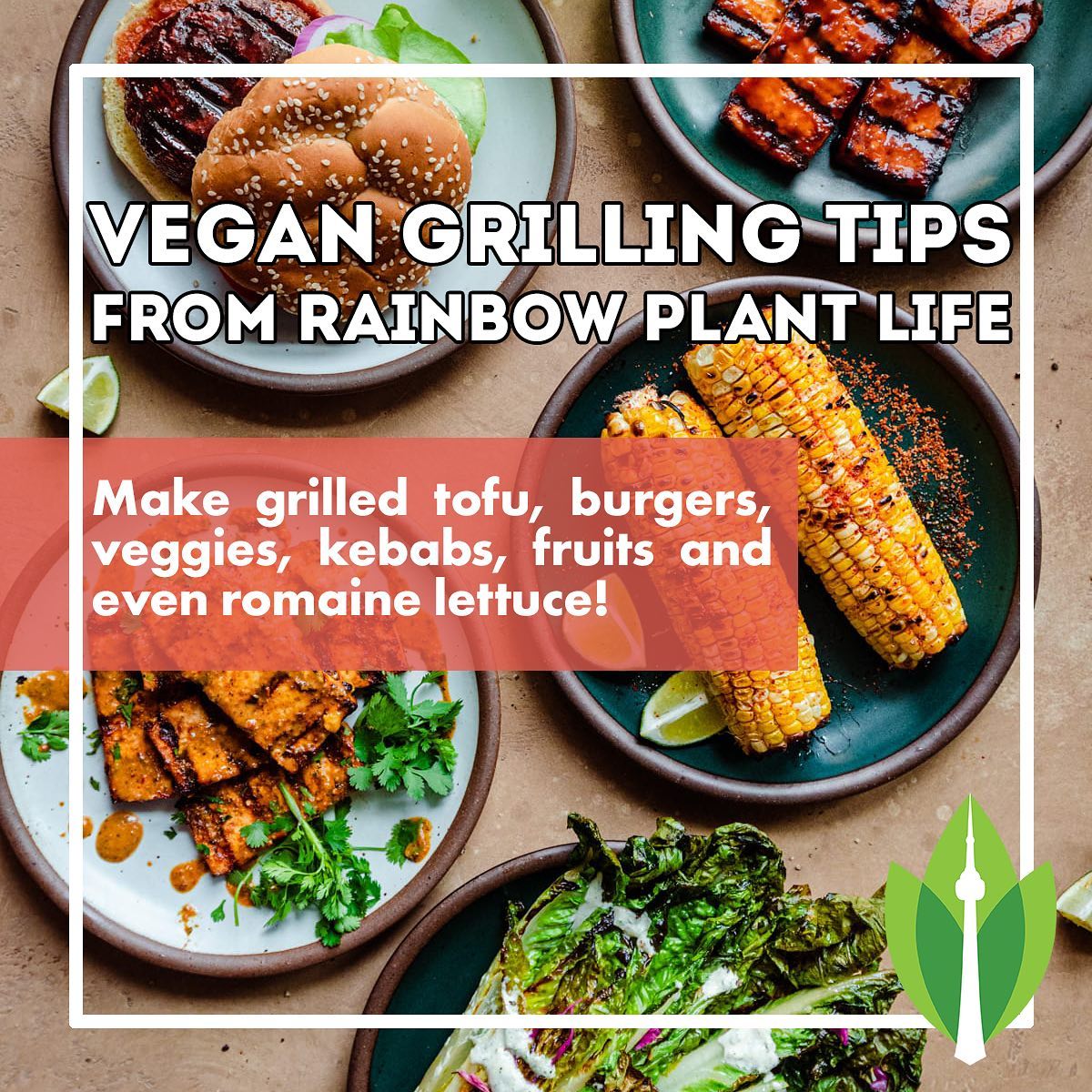 Just because you’re vegan does NOT mean you have to miss out on grilling season! Check out this great blog post from @rainbowplantlife on vegan grilling! Find the link in our bio and find out how to make a grilled romaine salad!