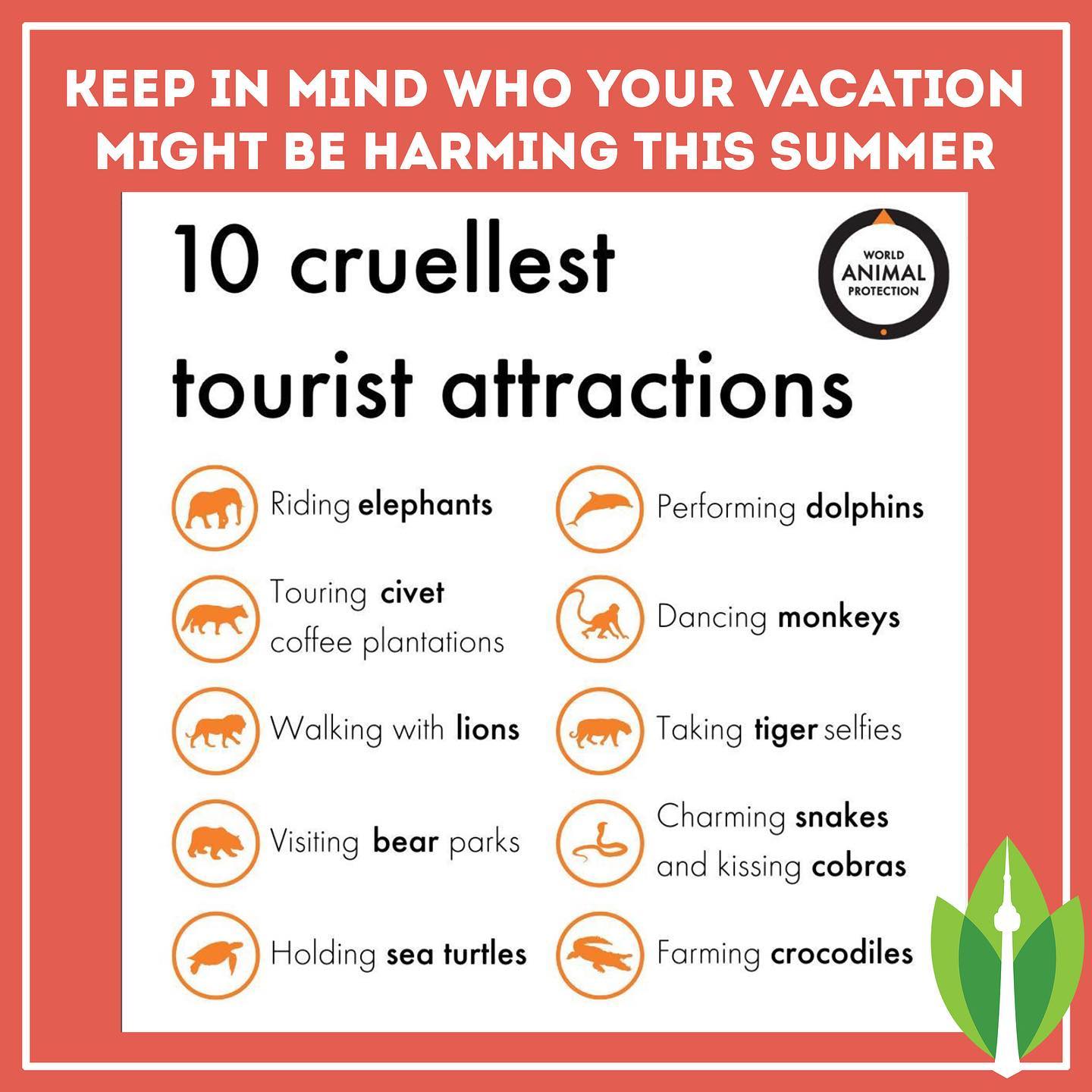 As you’re planning your summer adventures after two years of no trips, keep in mind that as fun as something may be for you, if an animal is being exploited in the process it’s definitely not fun for them.