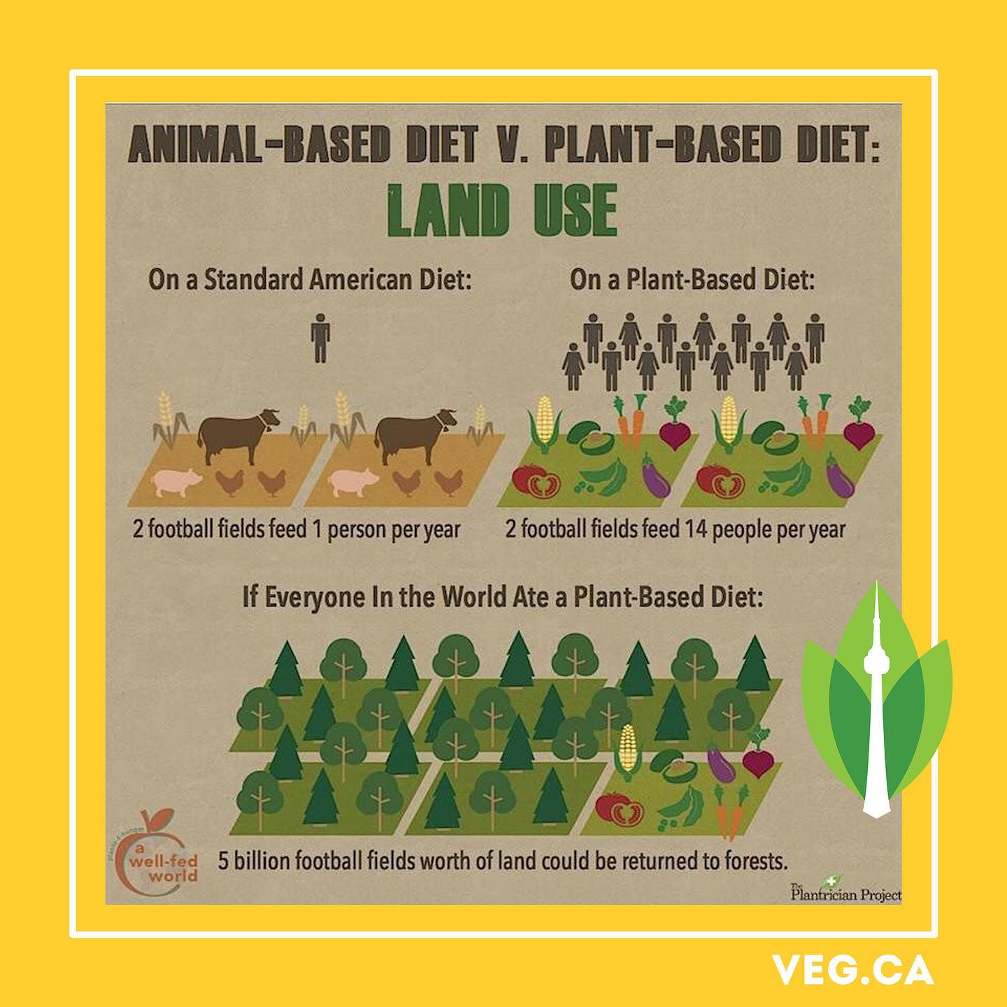 If the world was vegan, there would be so many more trees. 🌲🌴🌿🍃🌱🌳