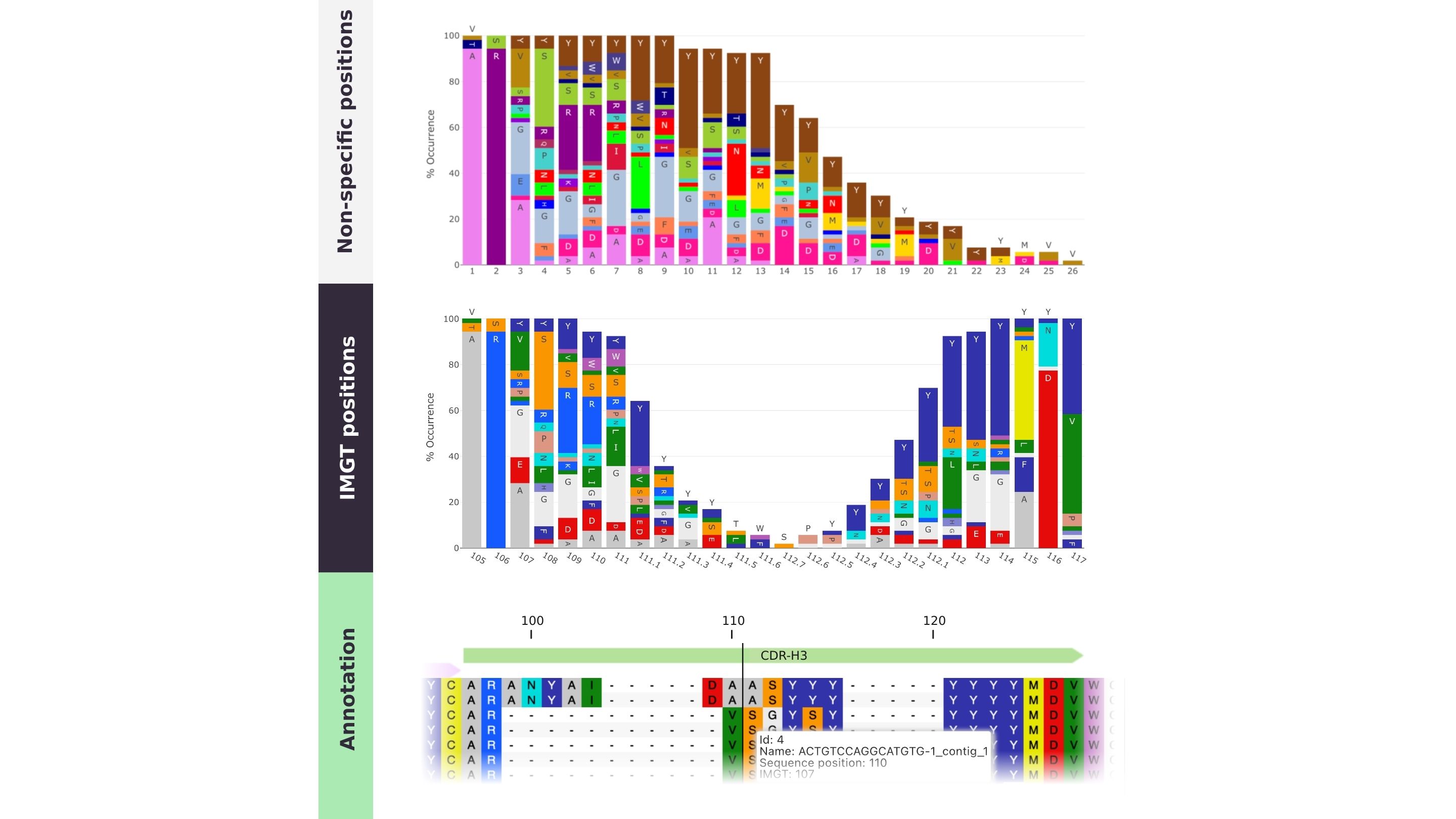 An illustration of differences between IMGT-numbered antibody sequences and antibody sequences annotated with a linear numbering scheme on PipeBio with amino acid barcharts and a sequence alignment