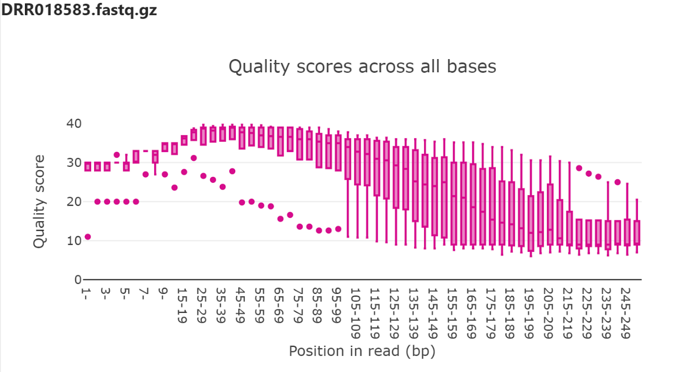 A diagram on PipeBio showing the aggregate quality scores of an entire fastq file