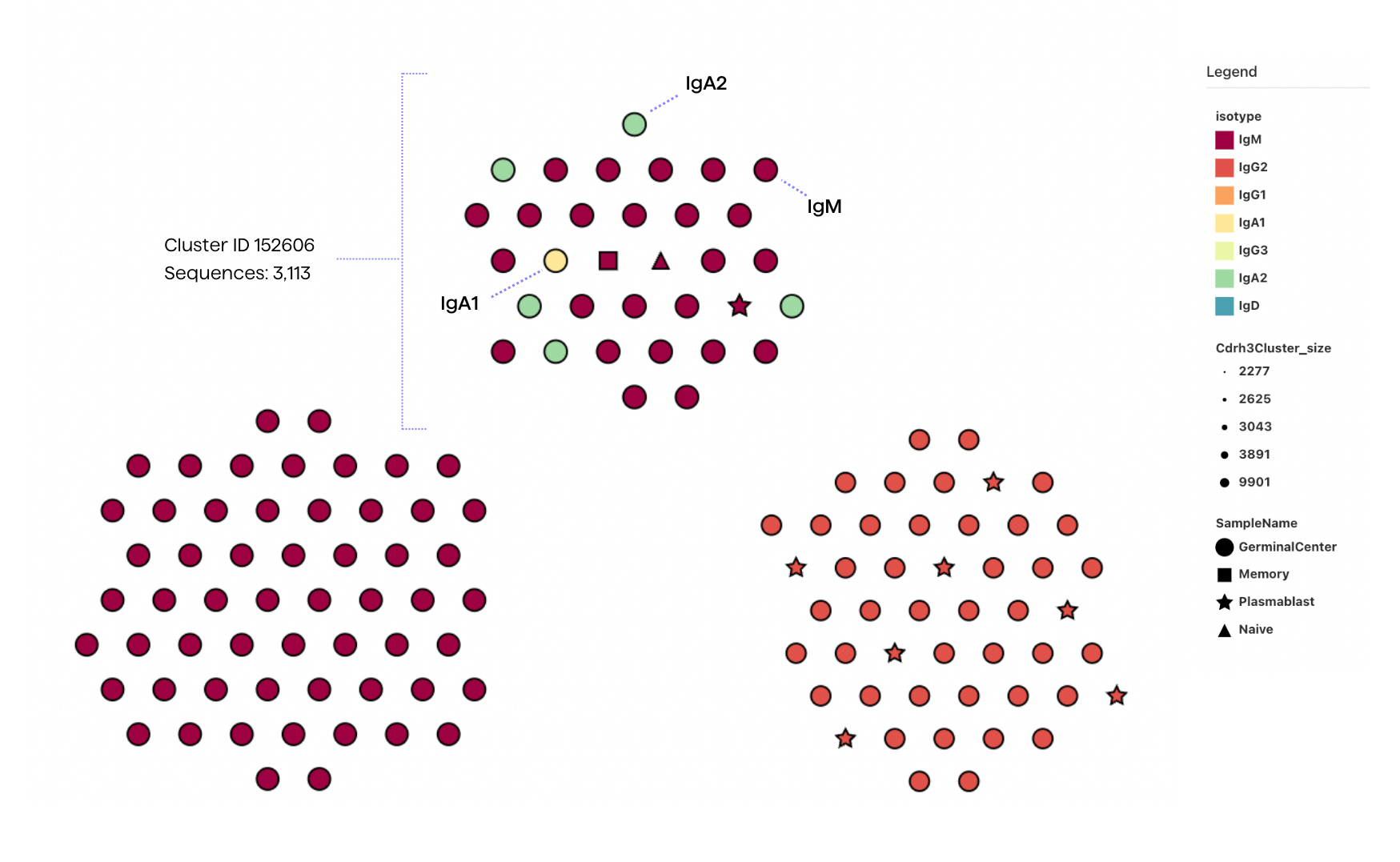 Cluster diagram showing predominant IgM and a singleton IgA1-cluster in single b cell repertoire subset