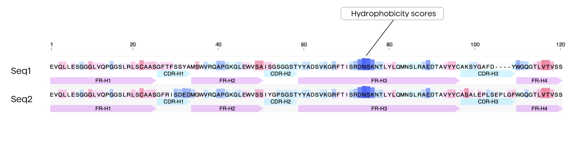 Hydrophobicity tracks or hydrophobic patches on Nanobody VHH antibody sequence