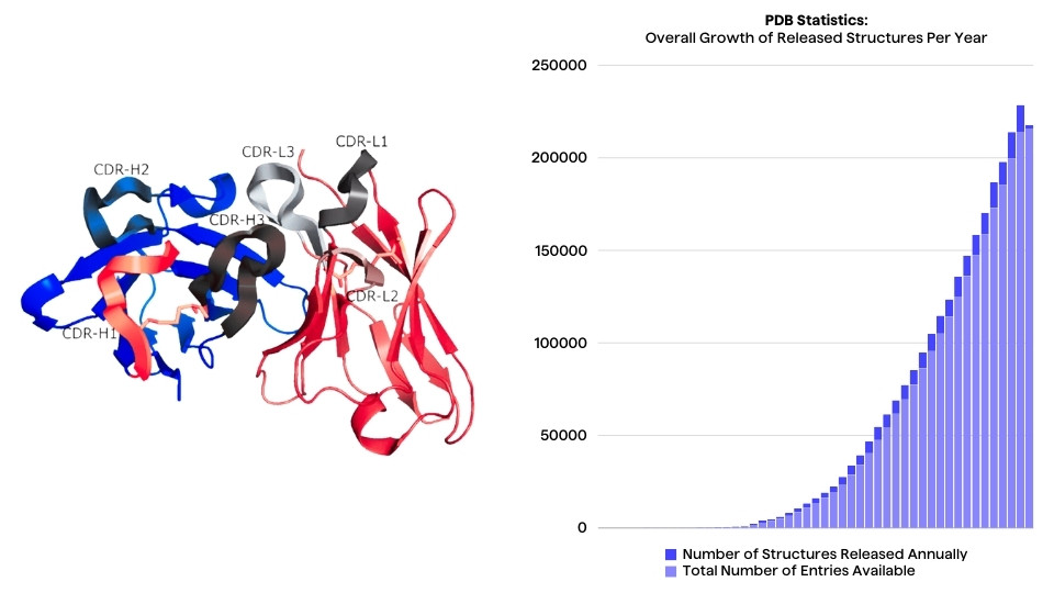 Representation of an antibody heavy chain 3d structure and a bar chart showing PDB Statistics of new protein structures added to the database annually