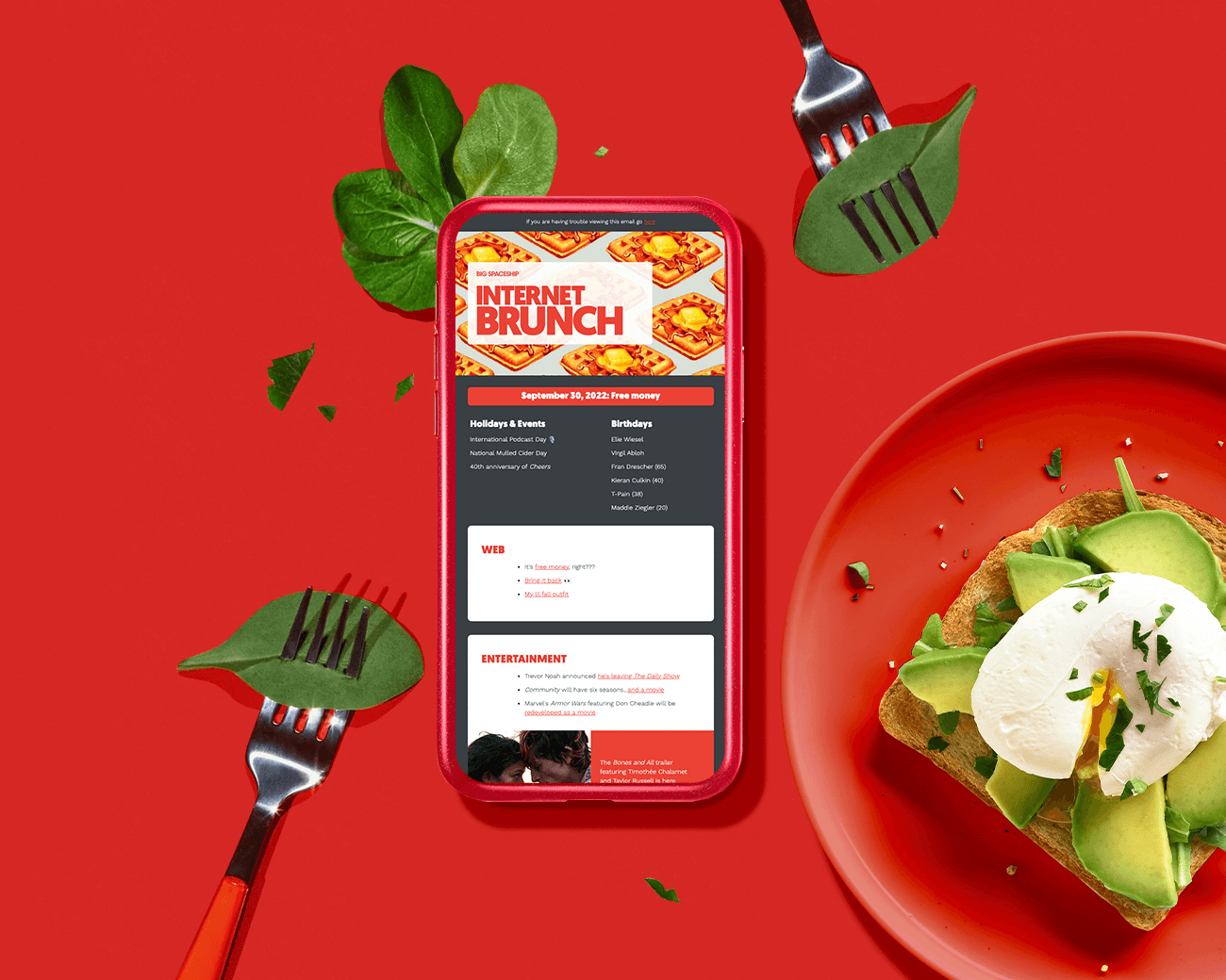 the internet brunch newsletter displayed on a phone