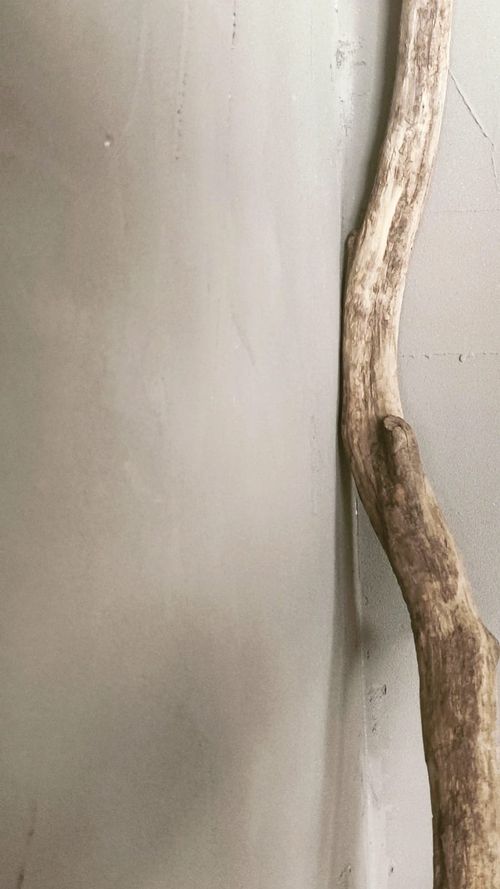 ATHMOsphere: Natural Beauty concept studio