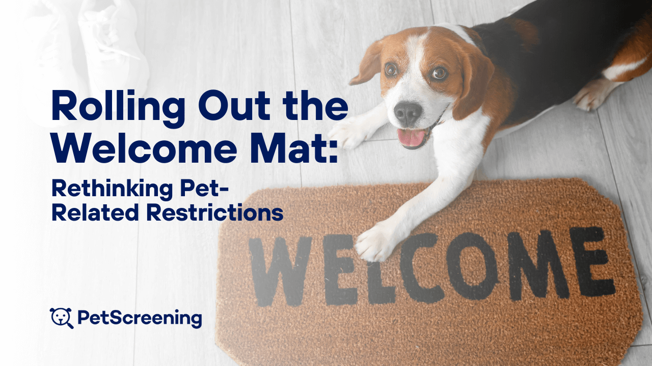 How To Get Out Dog Mats
