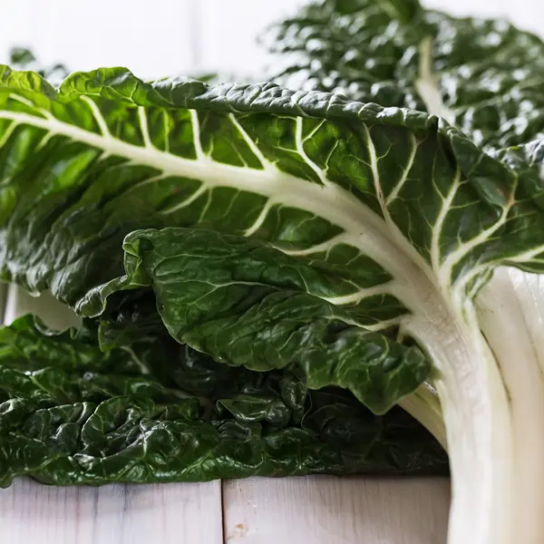 Searles How to Grow Spinach / Silverbeet