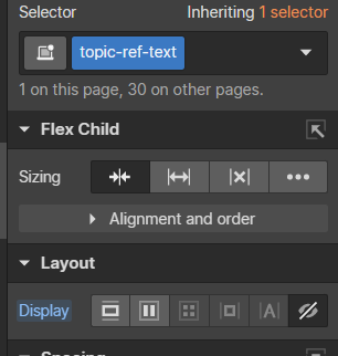 screenshot of Style panel with hidden selected on Display