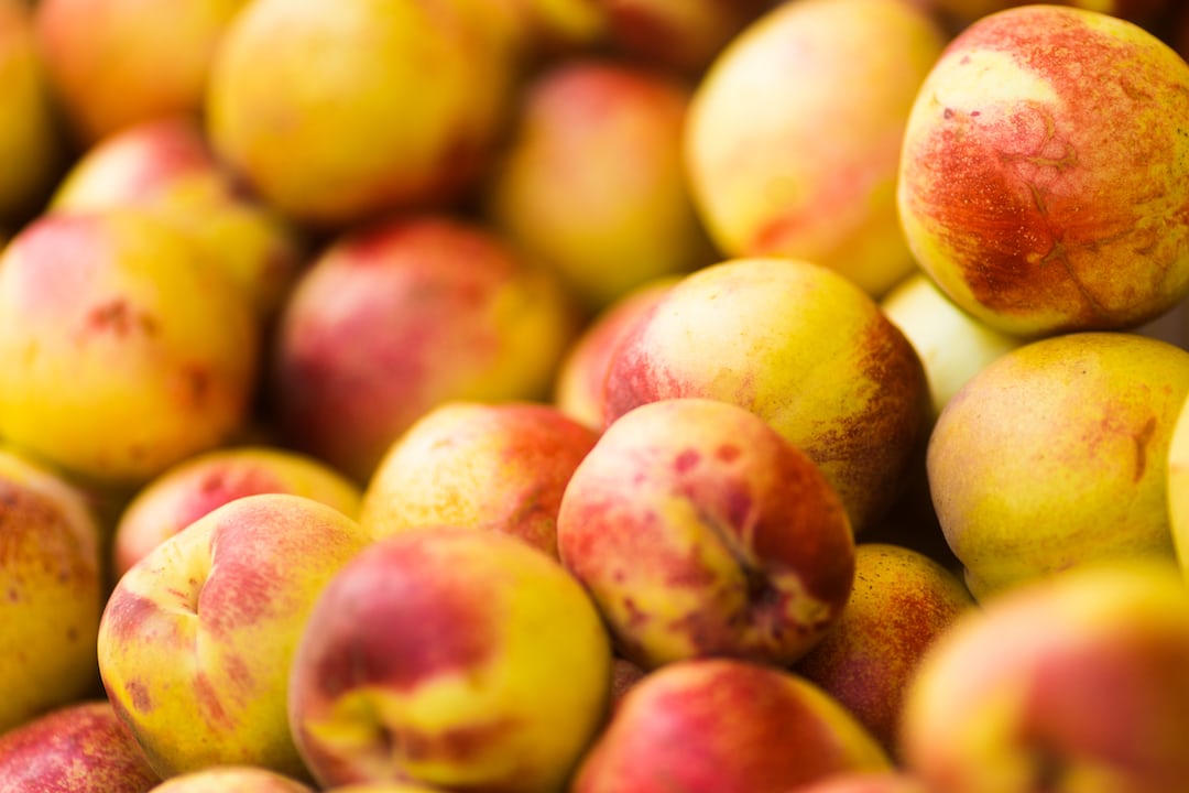 Maximize Your Home Garden Nectarine Yields