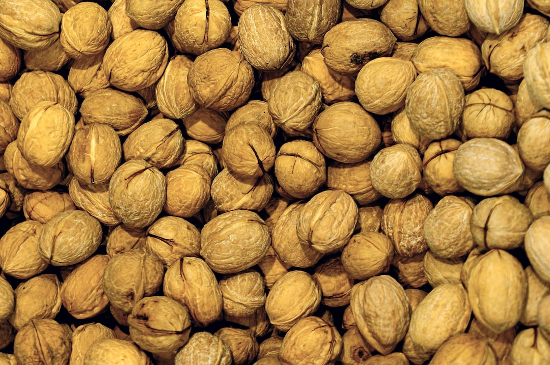 Grow Hickory Nuts Step By Step Guide