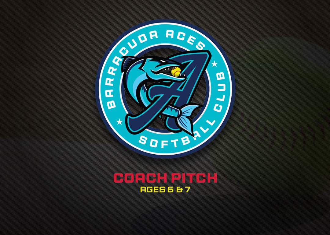 coach-pitch-development