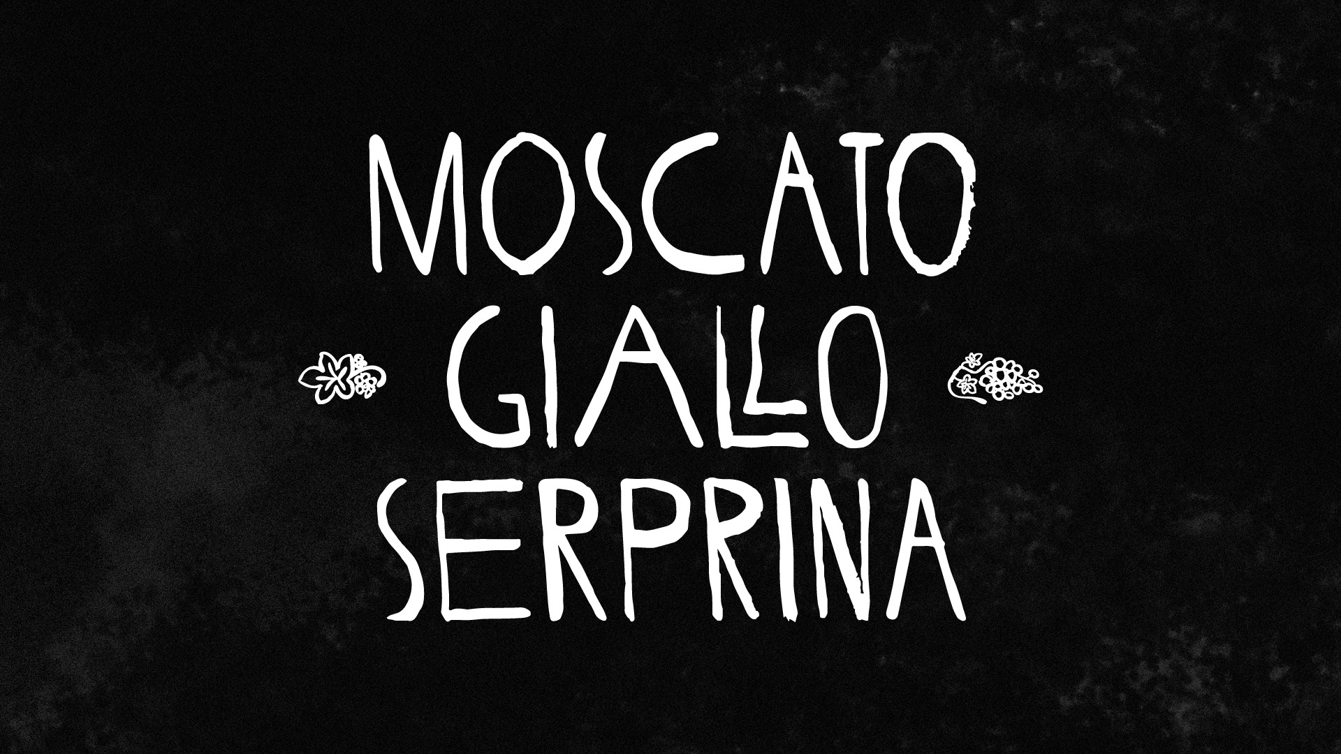 D FINITION DE SEN visual data 4