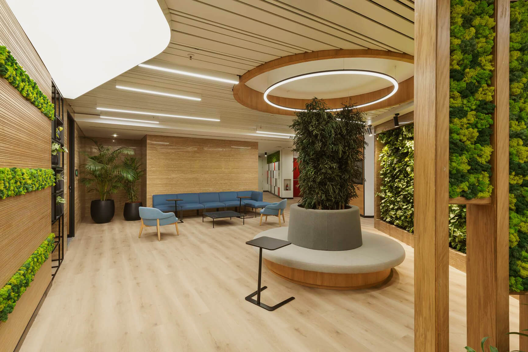 TomTom Company Story