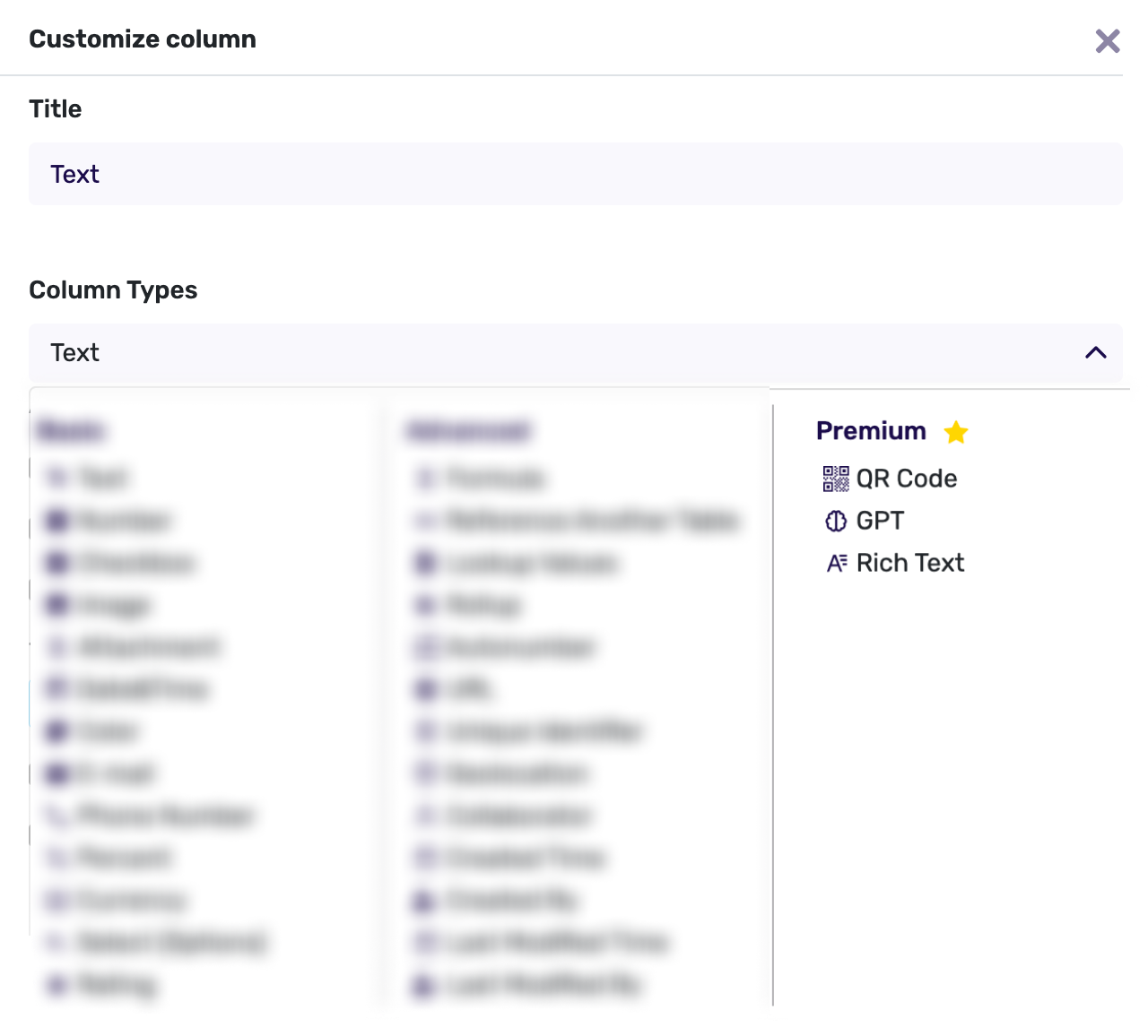 Premium Column Types