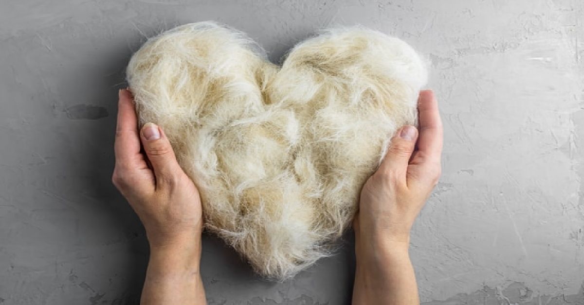 Do Labs Shed? A Complete Guide to Labrador Shedding