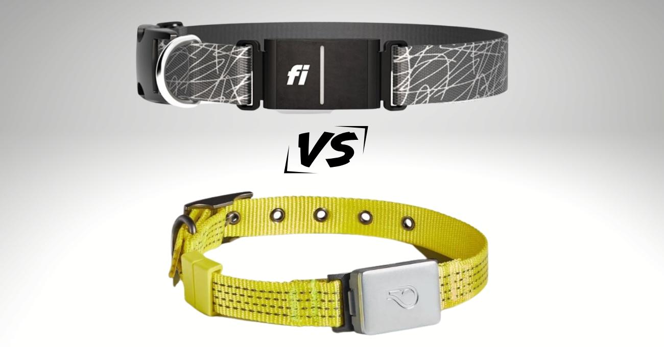 Fi Dog Collar Vs Whistle Everything Labradors
