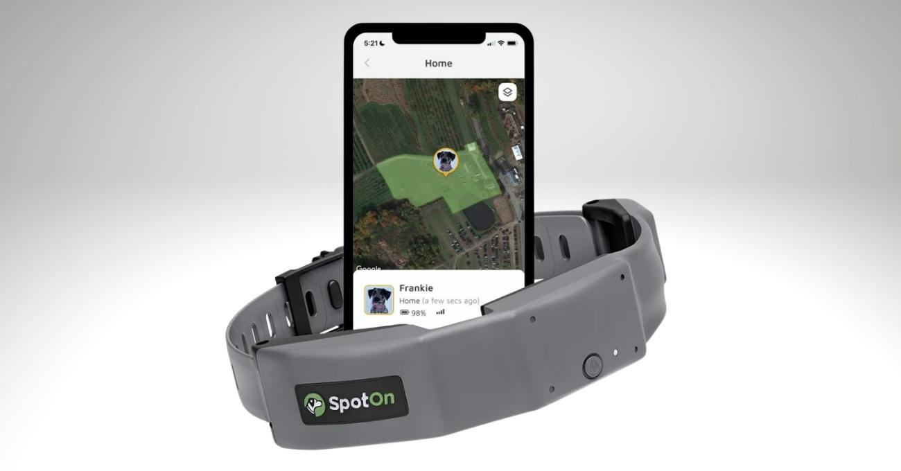 Best Spot On Dog Collar Everything Labradors