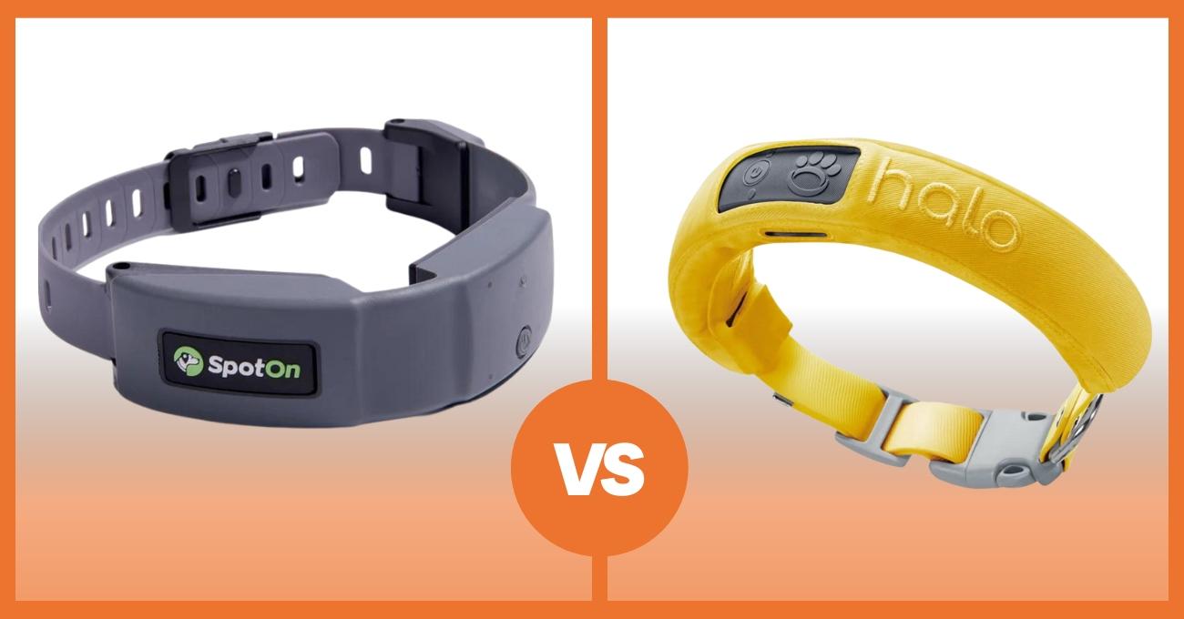 SpotOn vs Halo Uncovering the Better GPS Dog Collar Fence