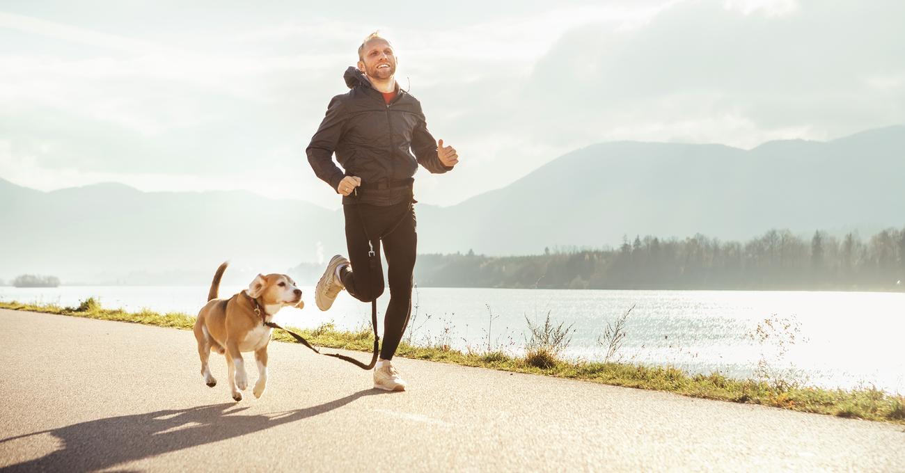 Best Dog Fitness Trackers