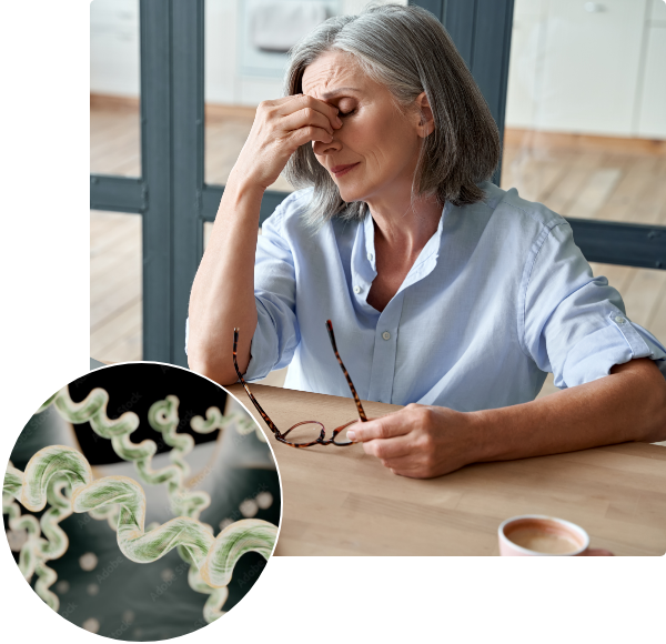 Lyme Disease Treatment Sierra Integrative Medical Center