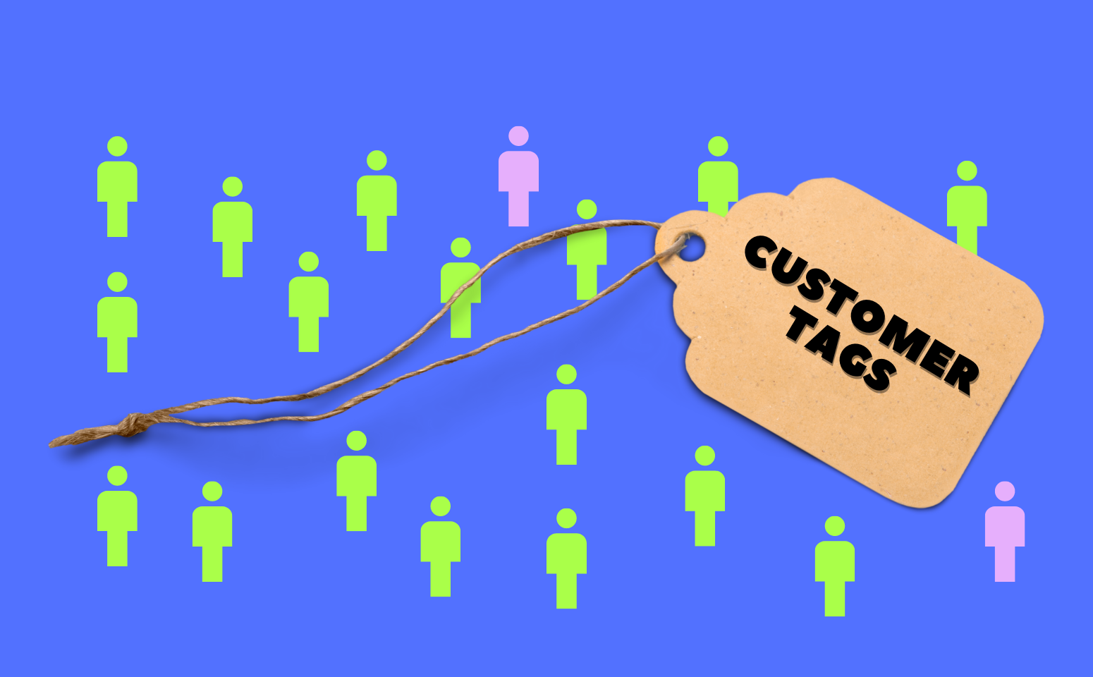 Segmenting Data with Customer Tags in Shopify Peel Insights